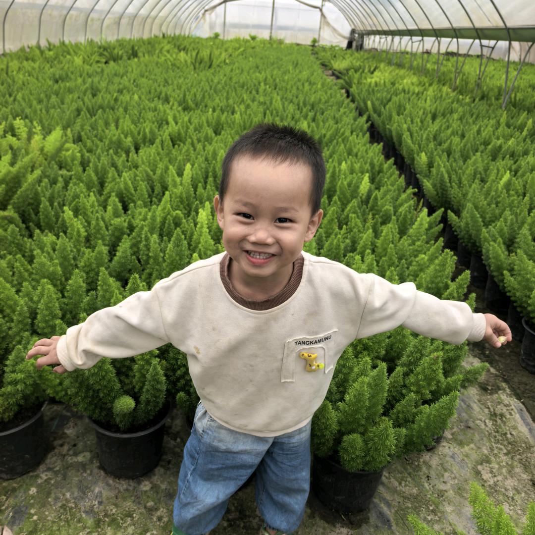 蒙蒙郫都区橘园花艺园艺场