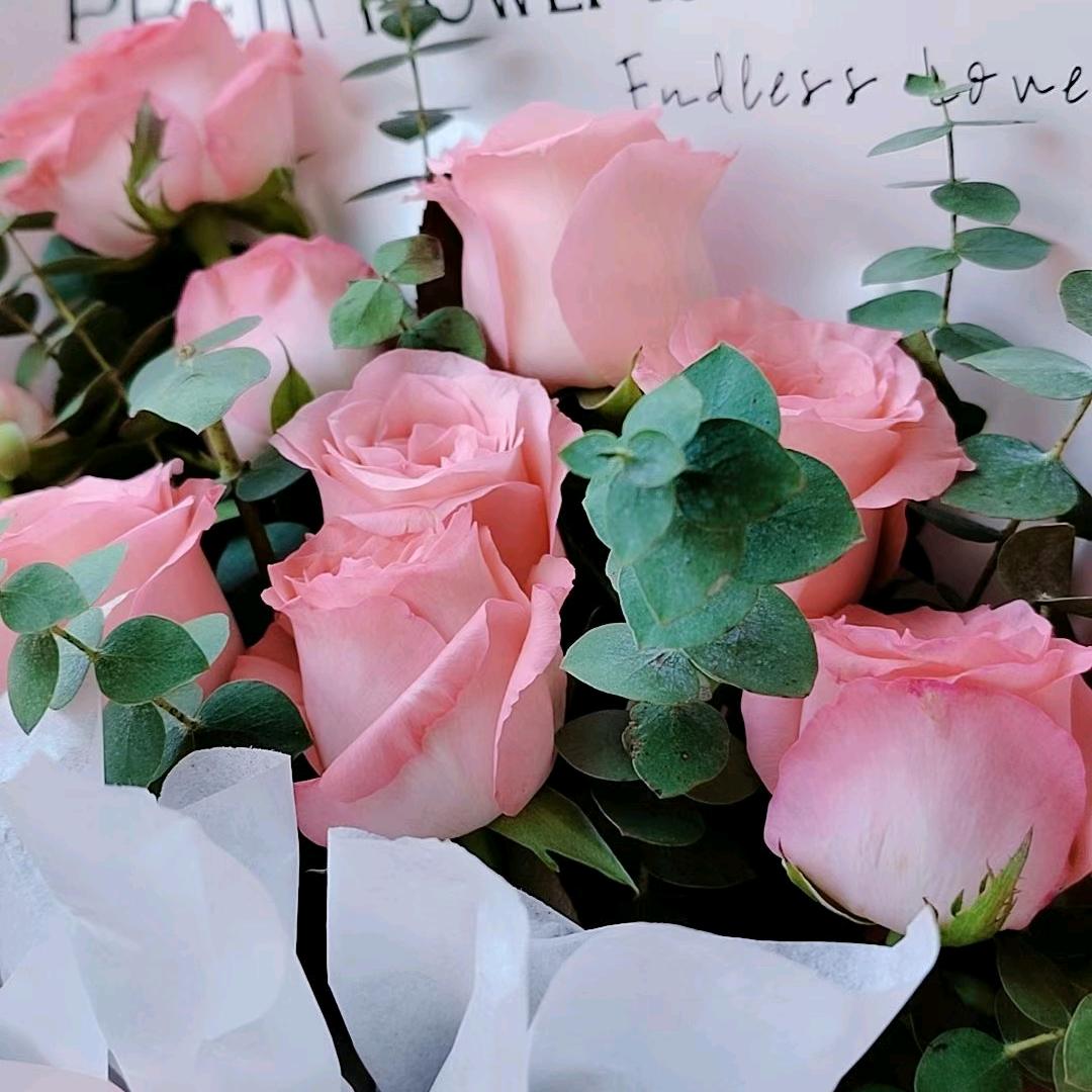 单亲妈妈（不定时开播）