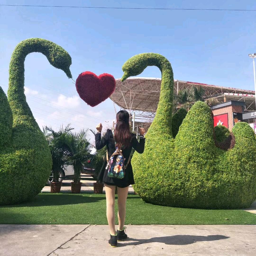 💗᭄樱桃💫🍀