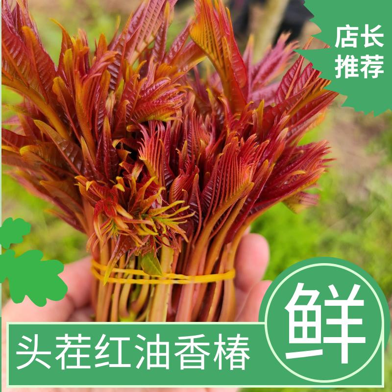 馬ღ᭄到成功₅₂₀¹³¹⁴