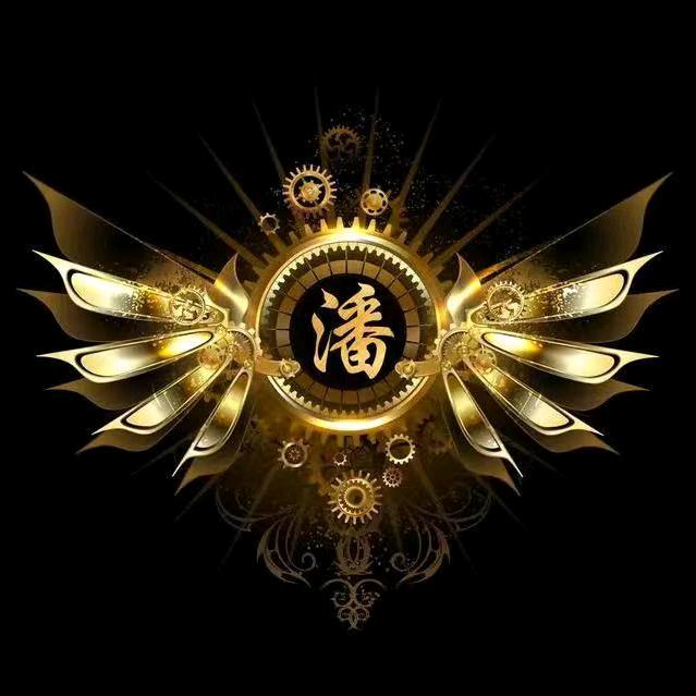 济南房产潘先生