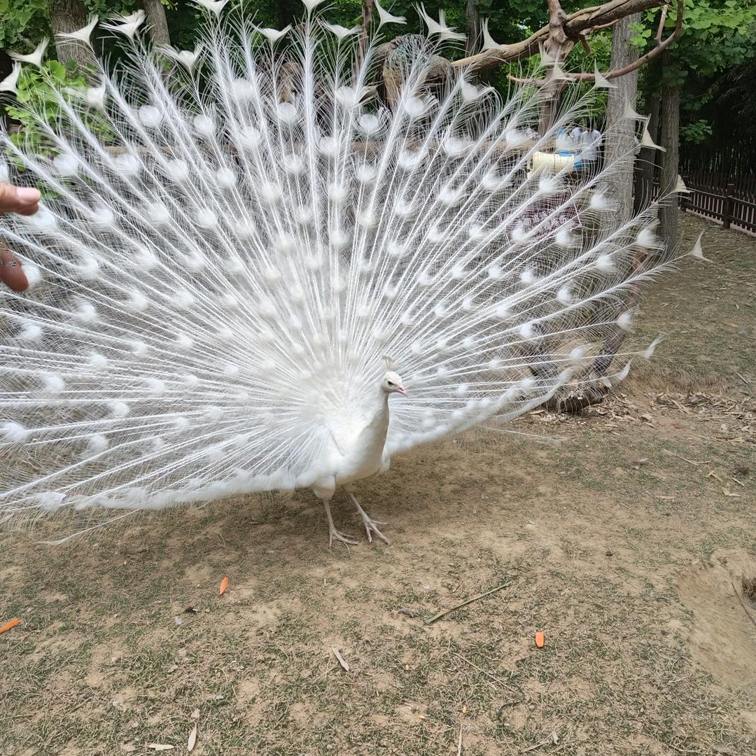 易尔川