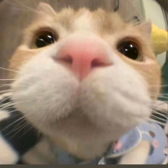 惊蛰
