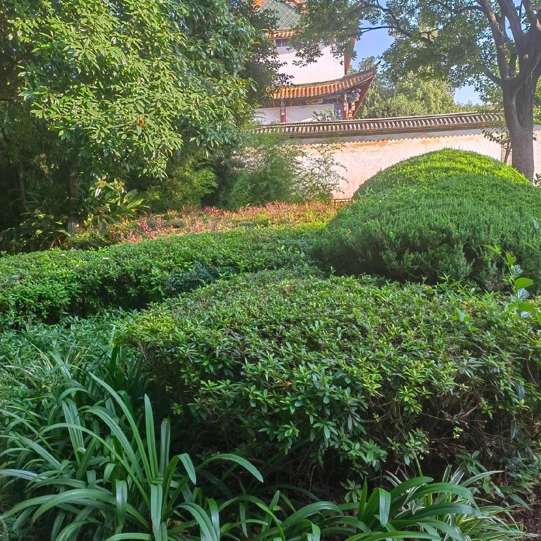 重庆哪里的