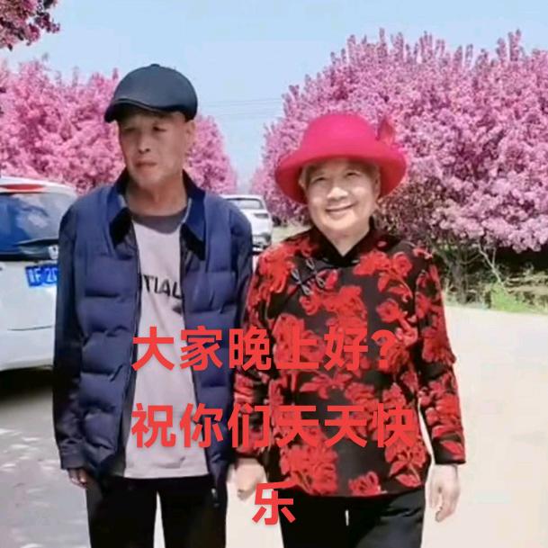 老杨。