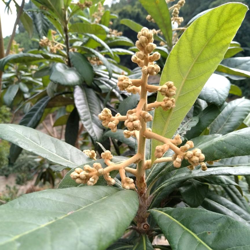 汤汤汤汤汤浩林
