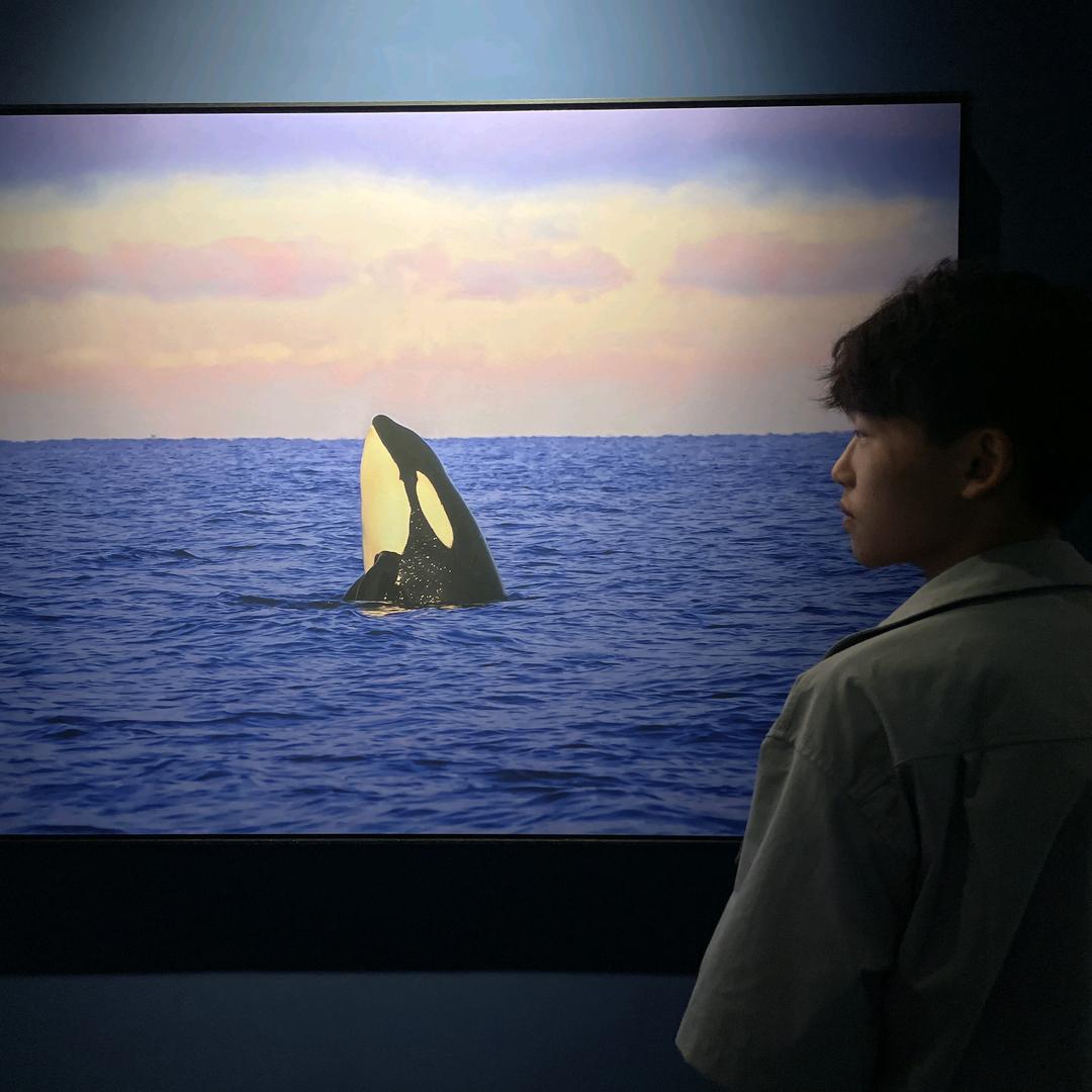 水水水哥不水
