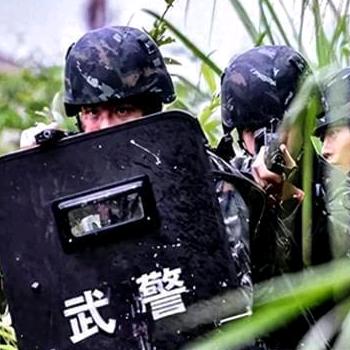 富贵牡丹