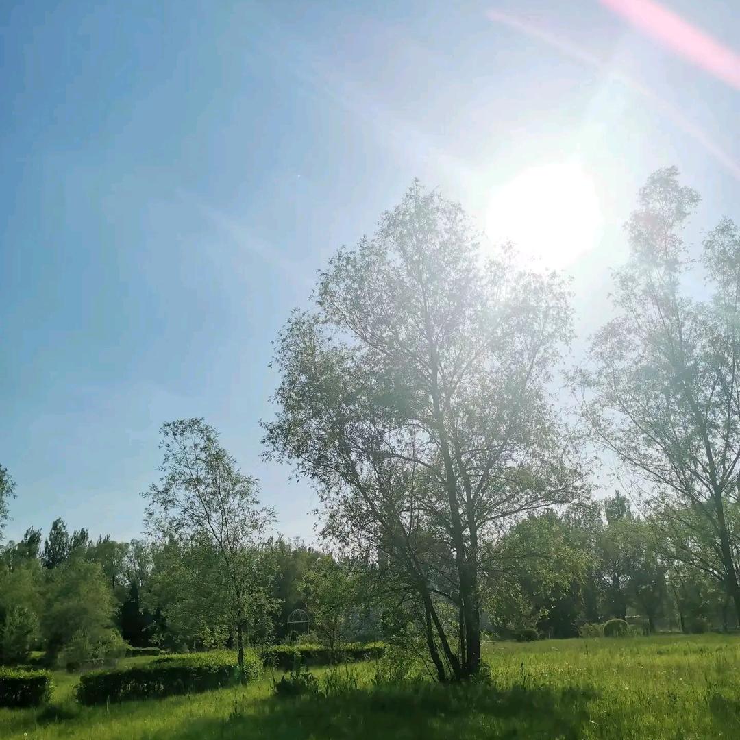 双儿🌳