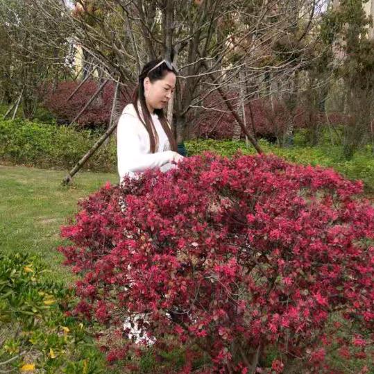 文静  拒绝私聊