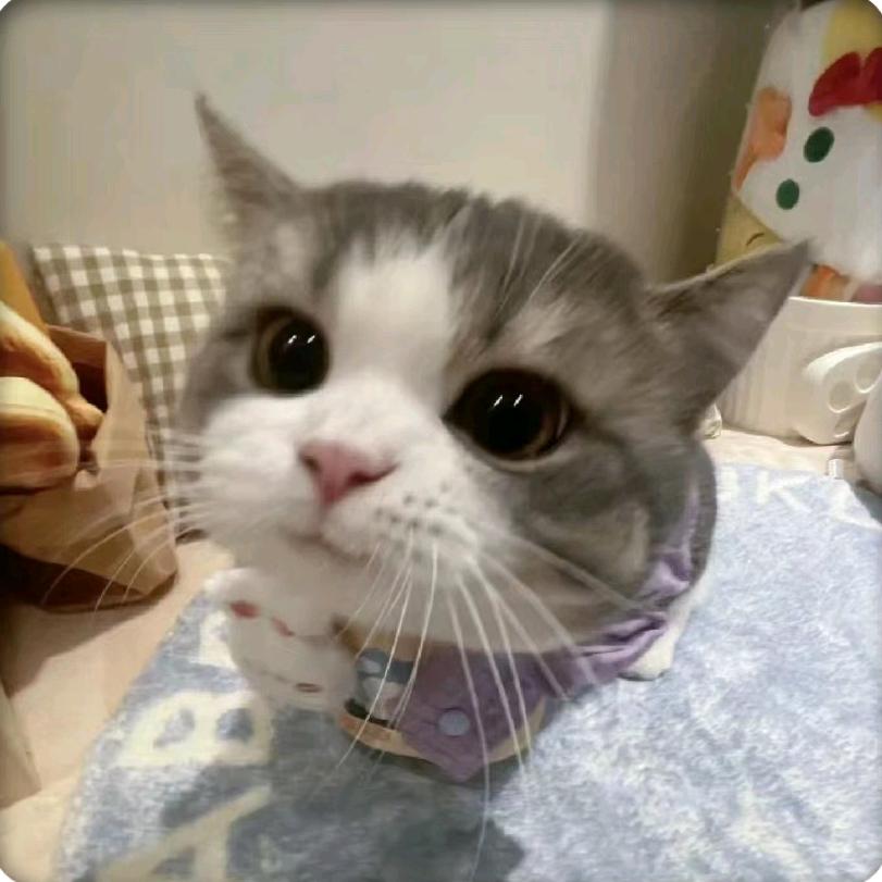 肚子⁵⁵叫