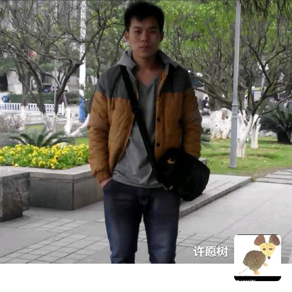 许愿树