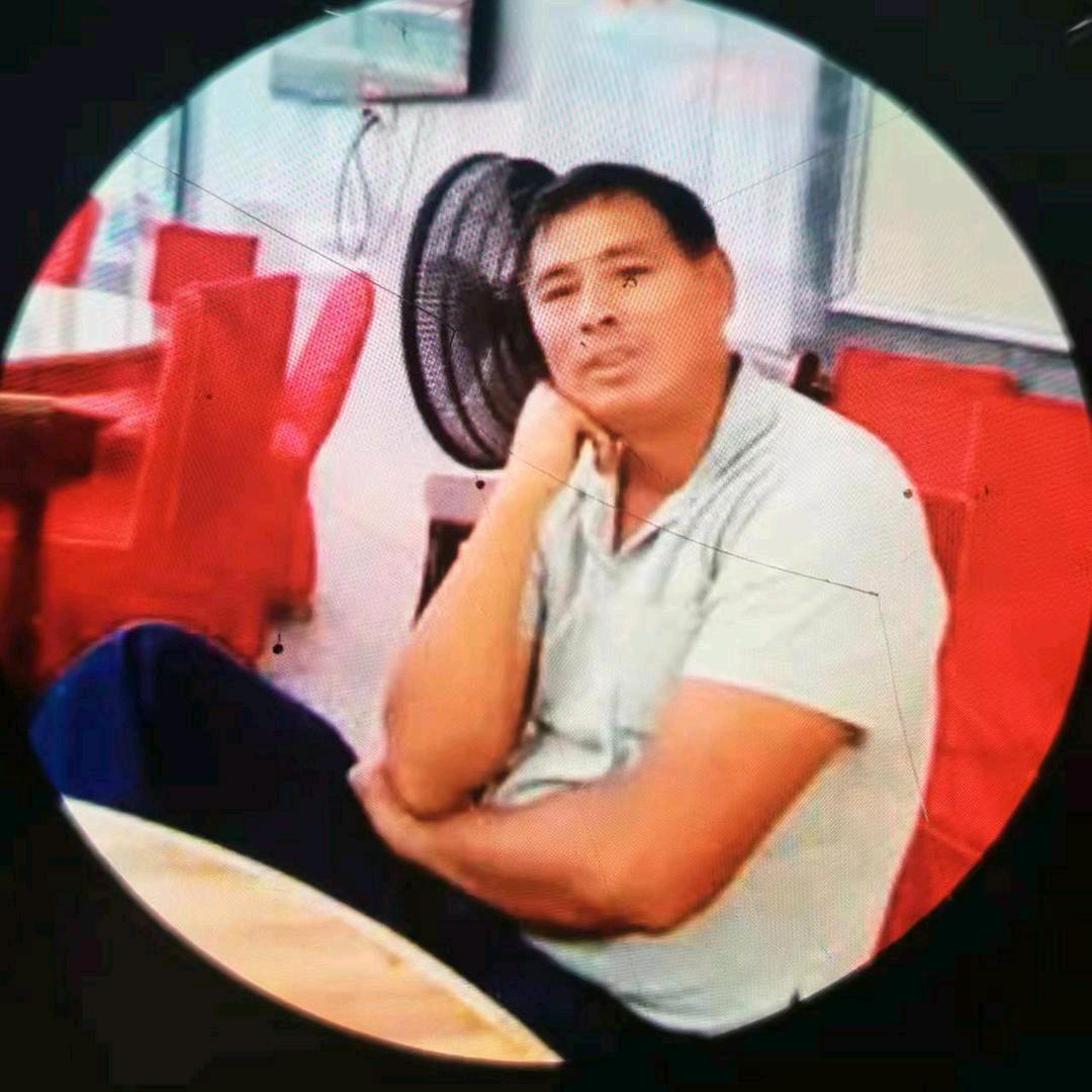游来游去