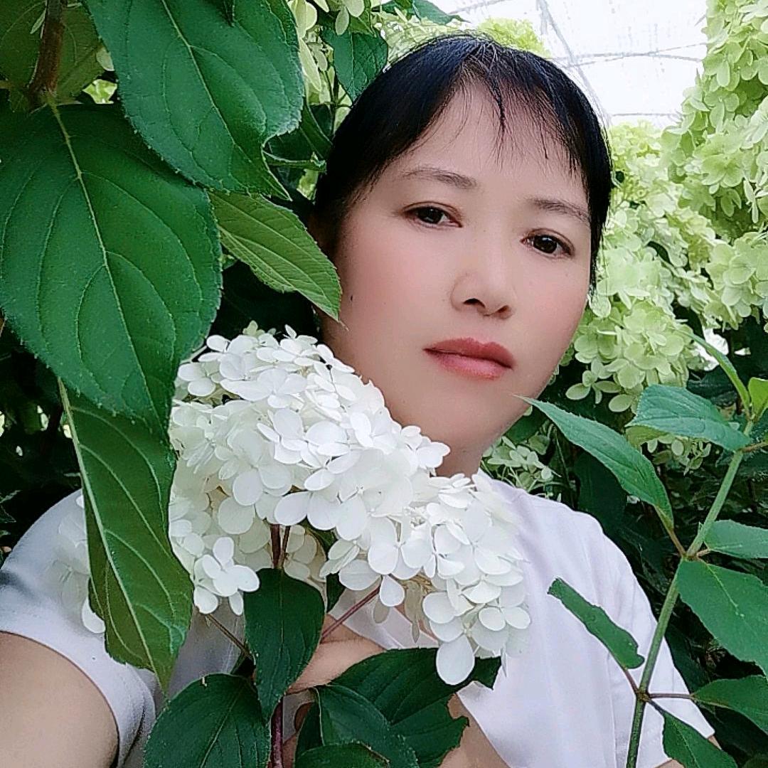 云南清逸花卉苗馆