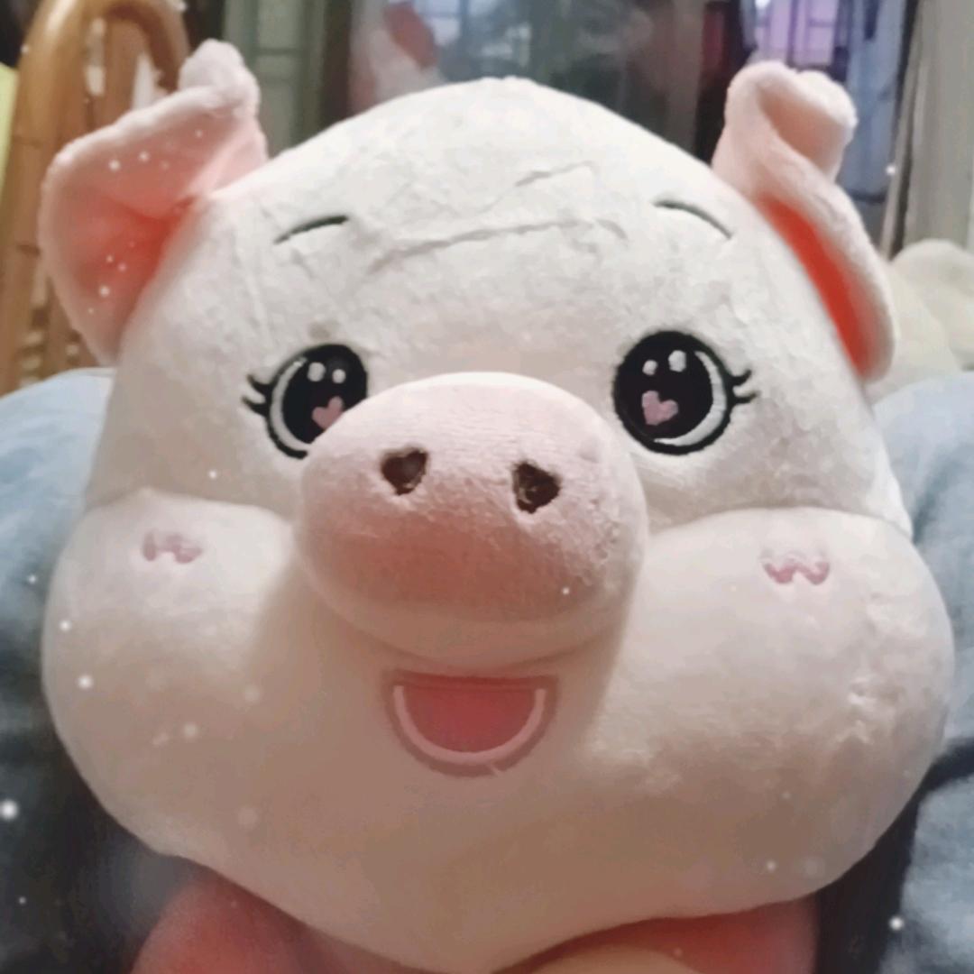 文
