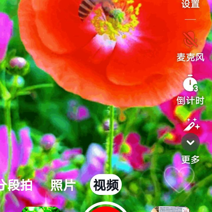 诚心诚意