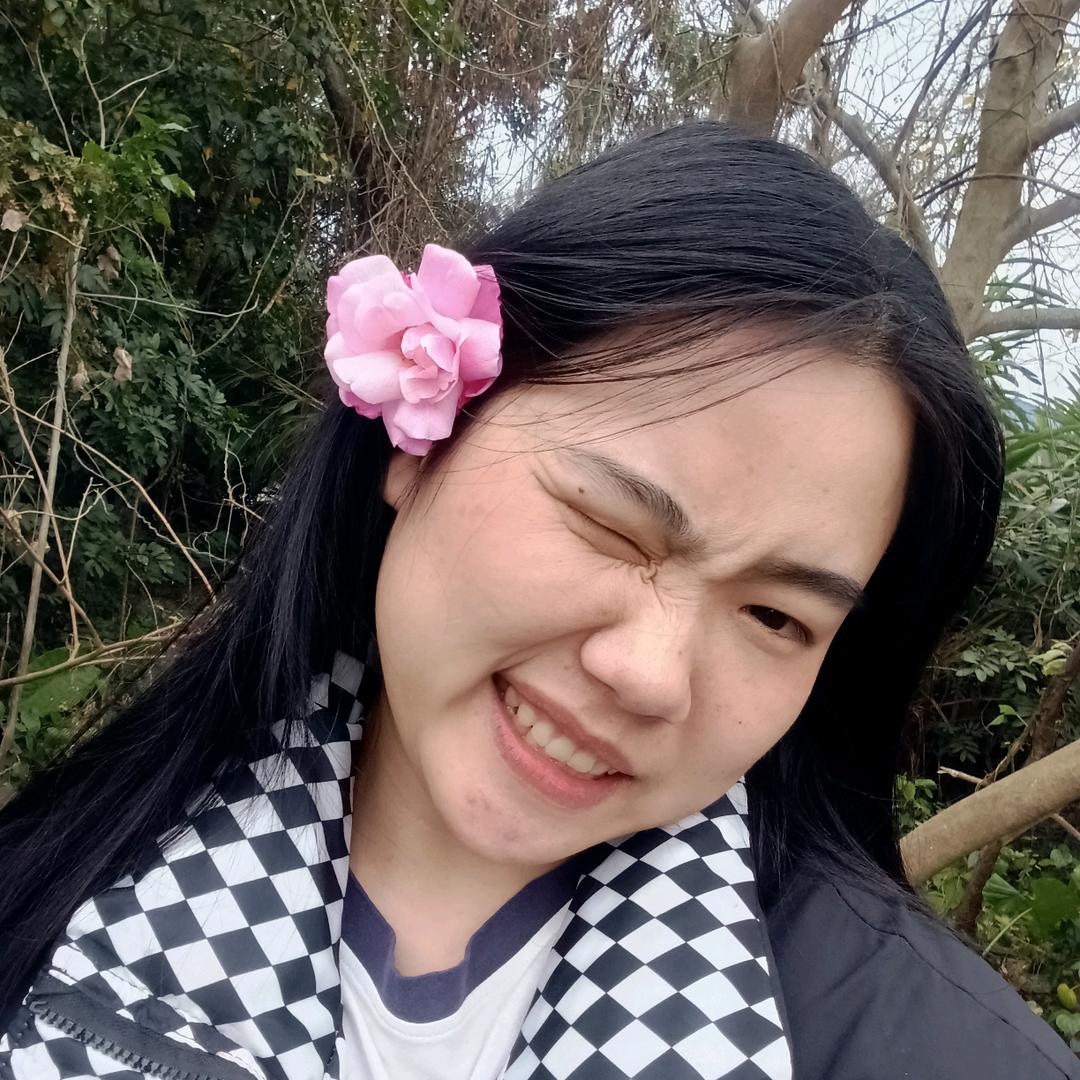 呆呆猫（停播中）