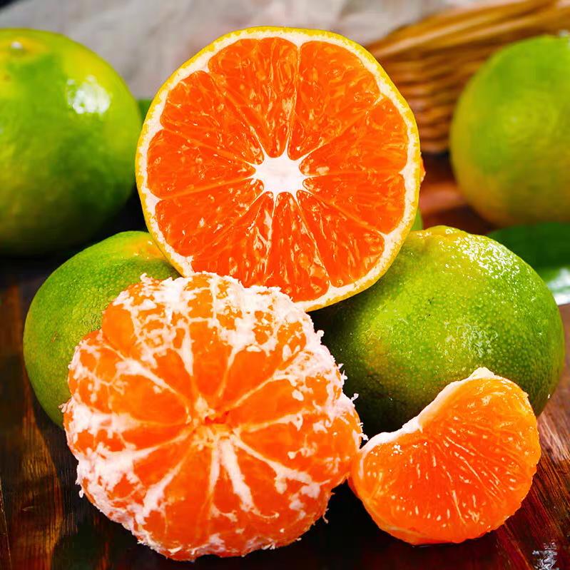 安鑫家的菜园子