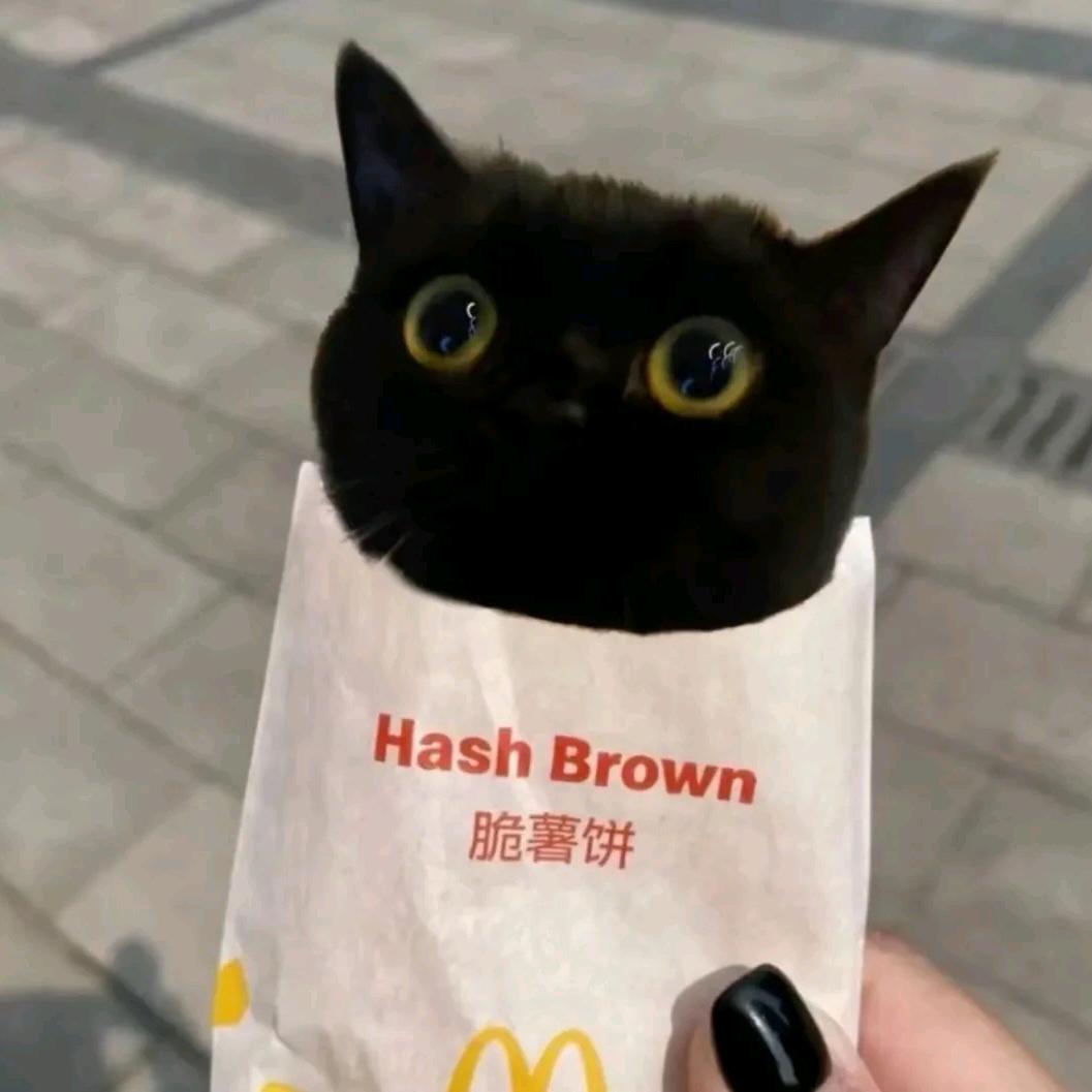 meow