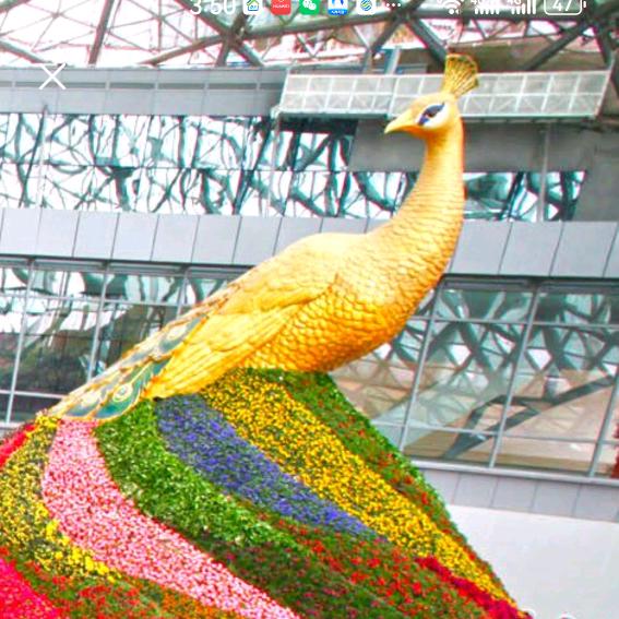 幸运儿农家小院