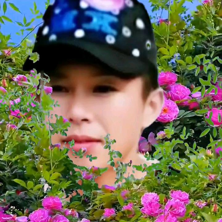 《风花雪月》