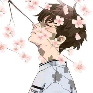 辰木轻语