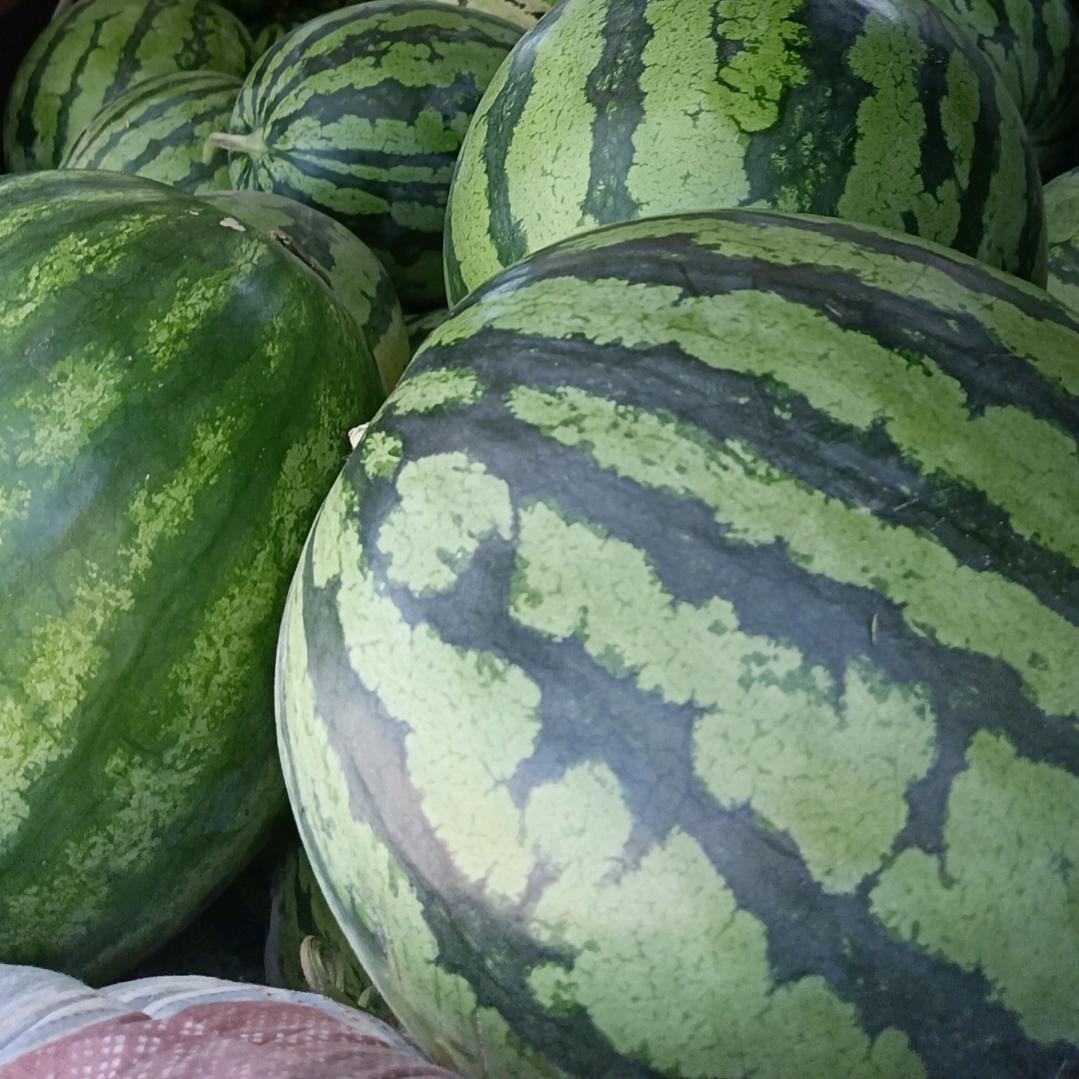 西瓜🍉