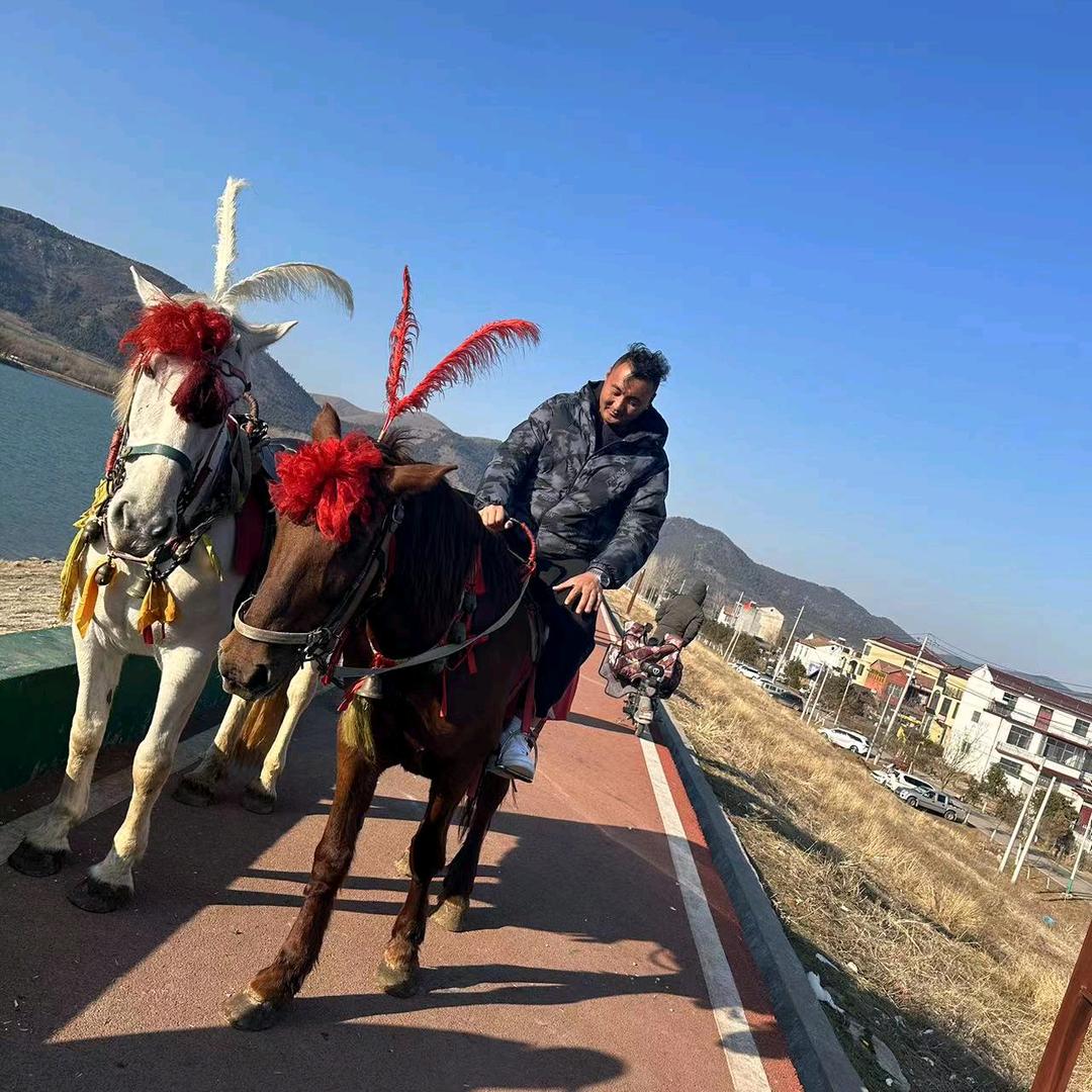 皖北啊磊