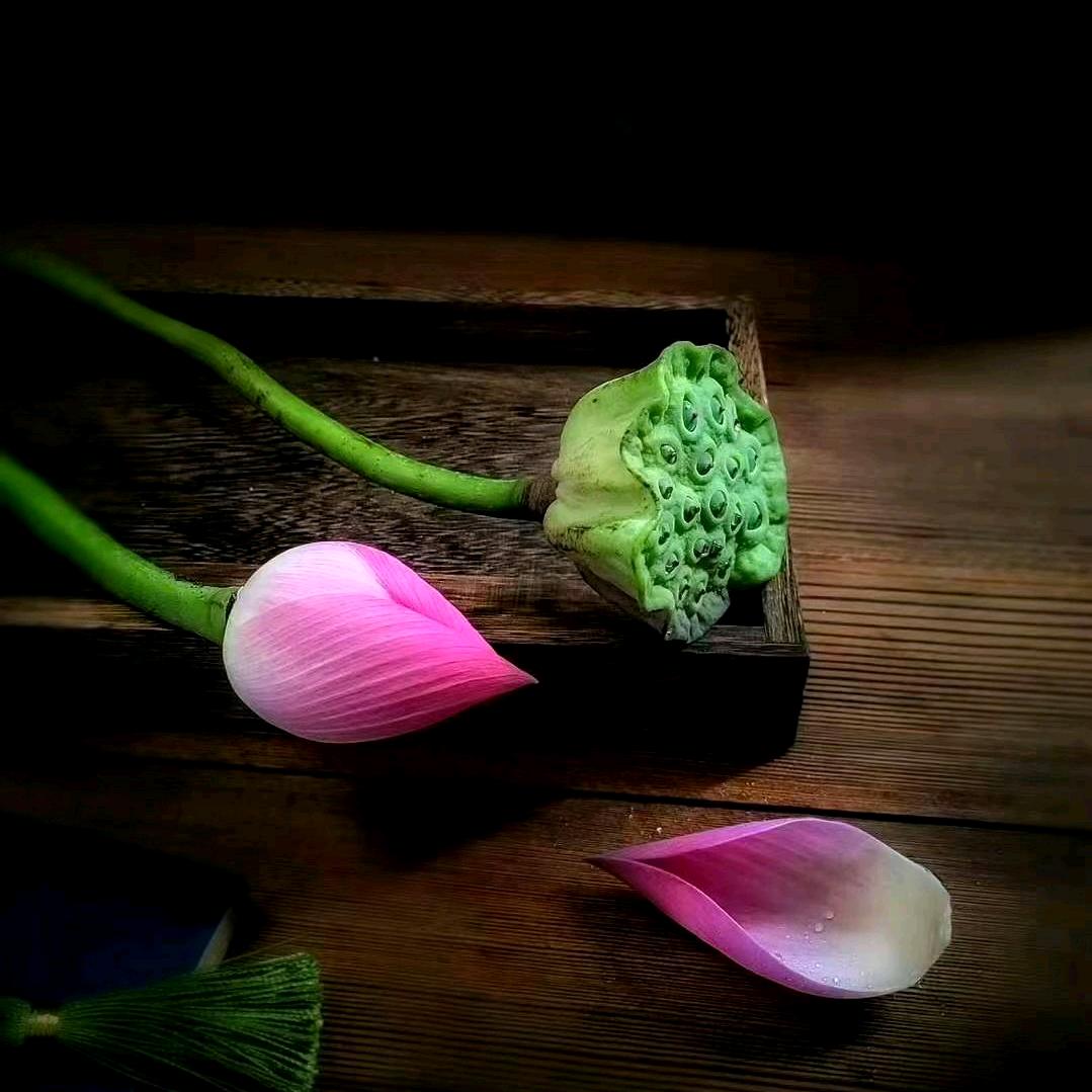 人间烟火(关注必回)