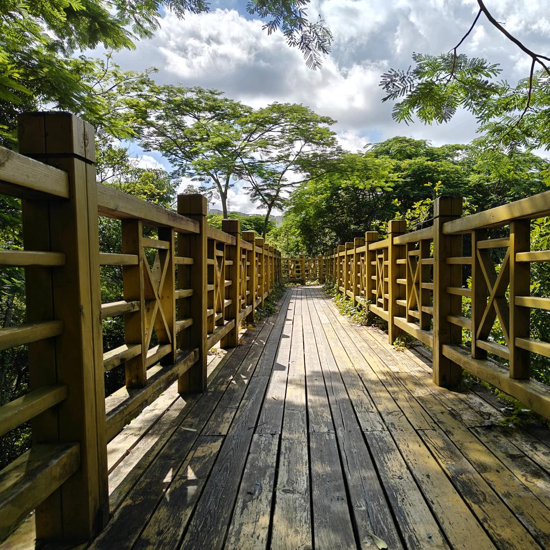 一盏黄黄旧旧的灯　　  　╲　　　　༽