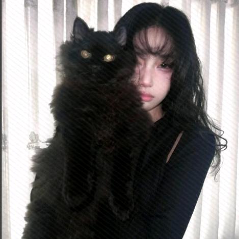 小猫੭