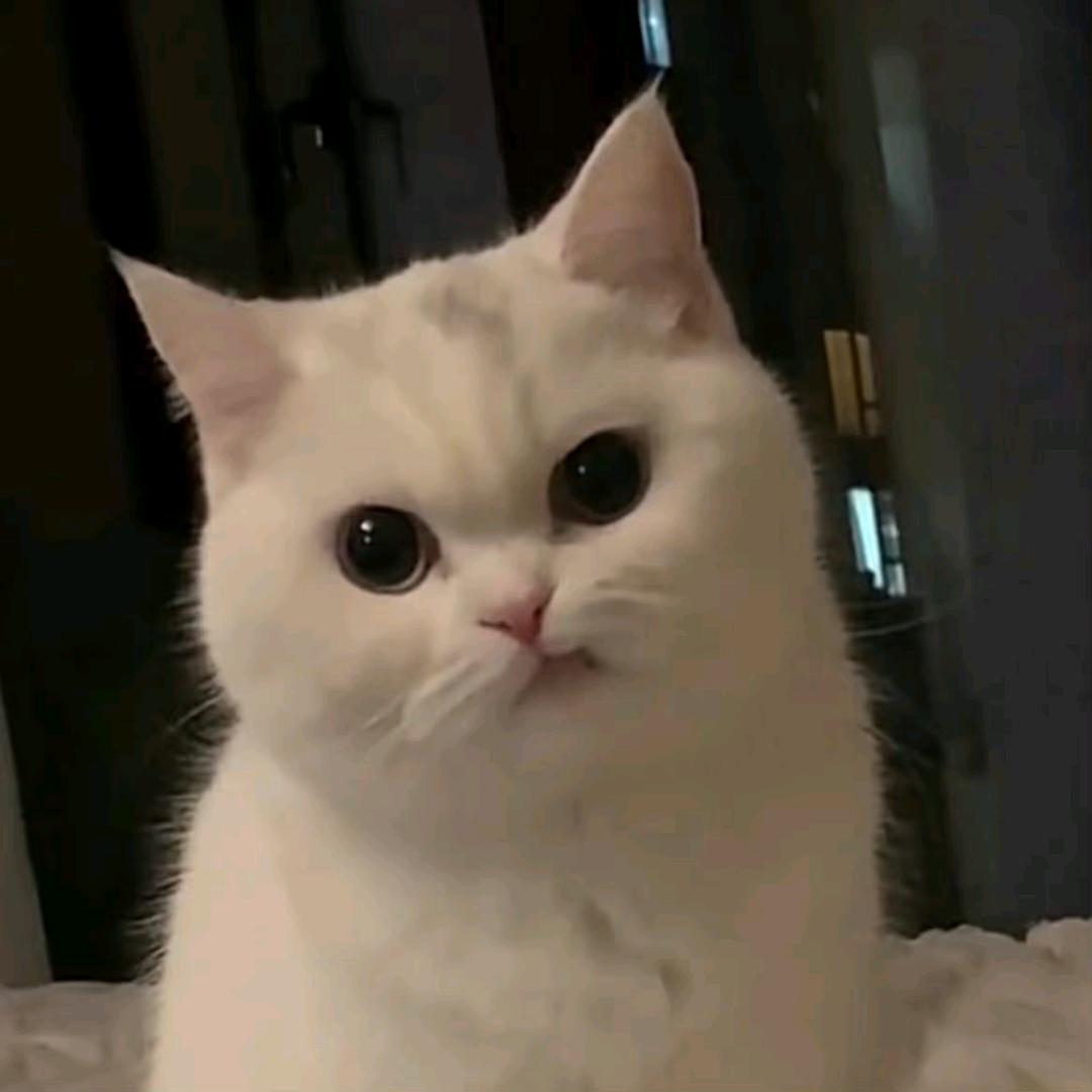 卡卡YI