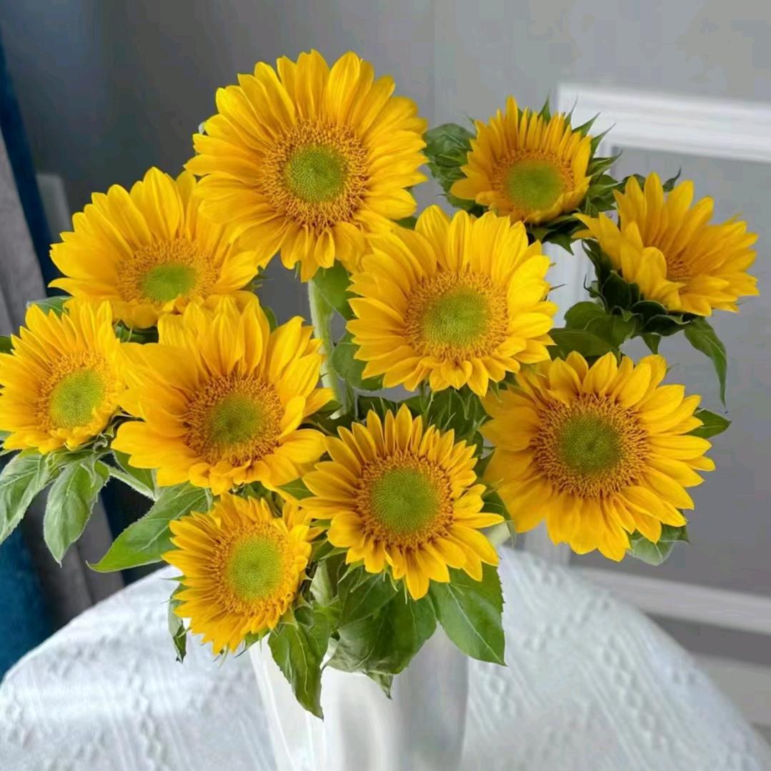 @小凤（连赞拉黑）