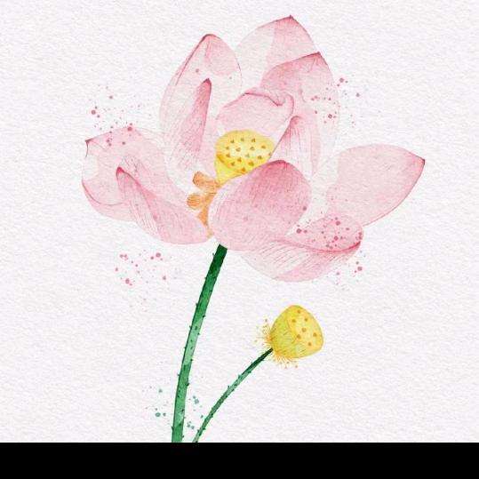 漫时光芹芹