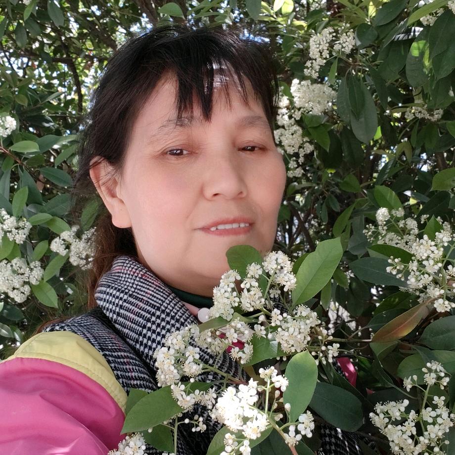 真真姐