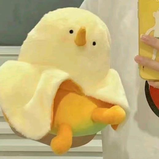 -熬夜小天才🎀