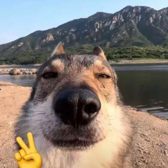 源学长（接课）