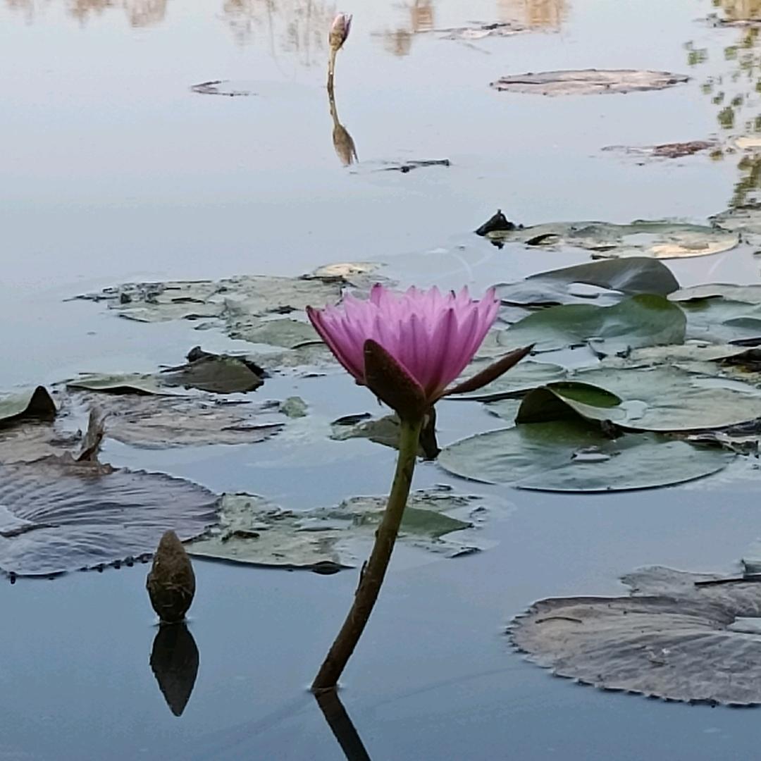广水老王