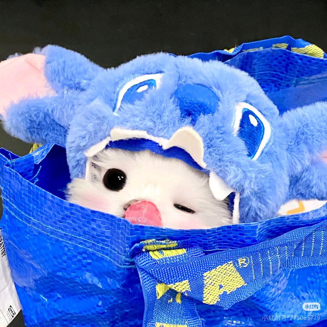 奇然然の糯糯羊.