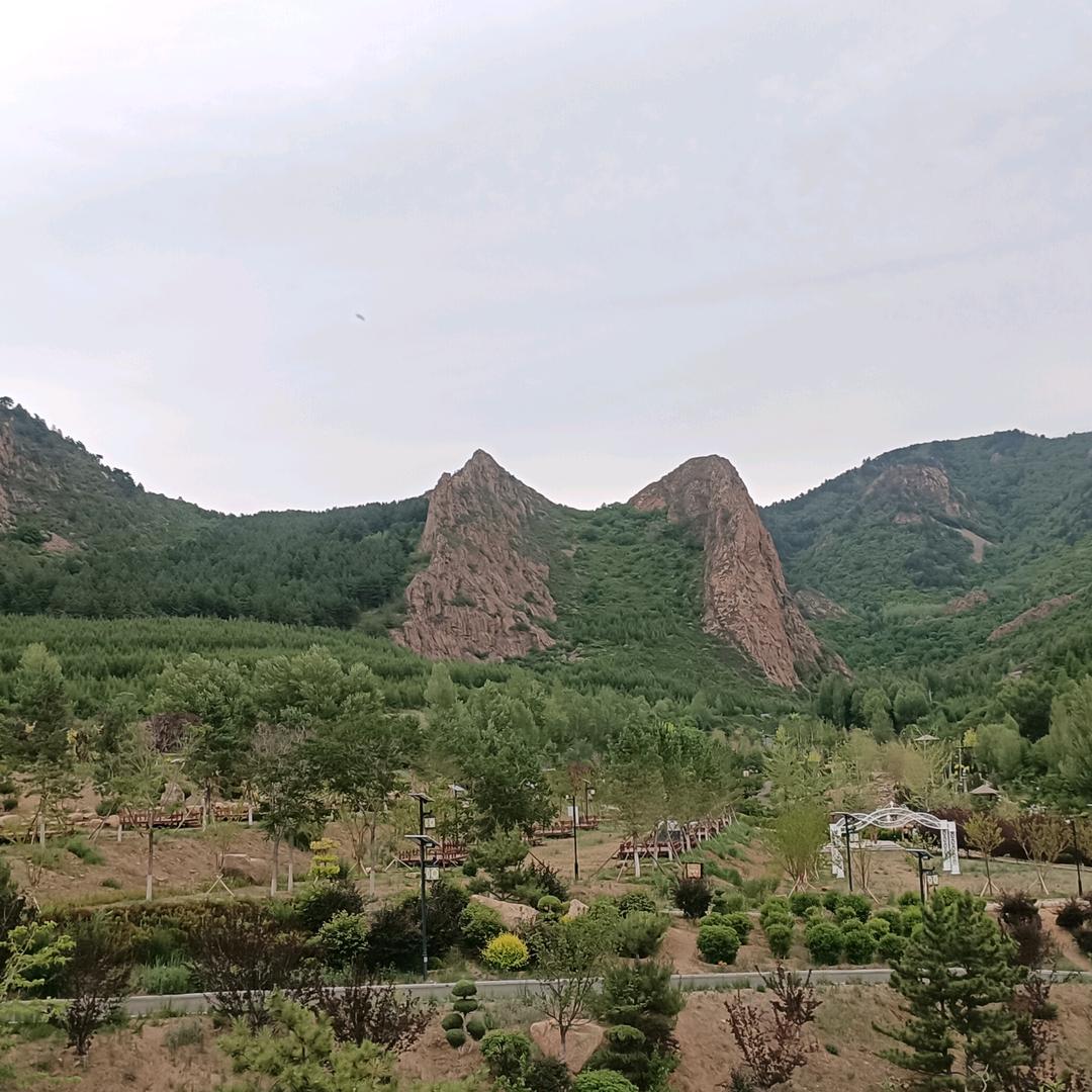 和中堂啥都爱