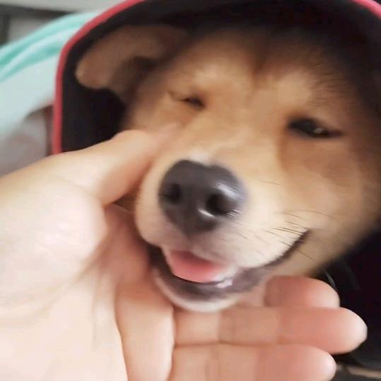 ，财旺.宝贝。