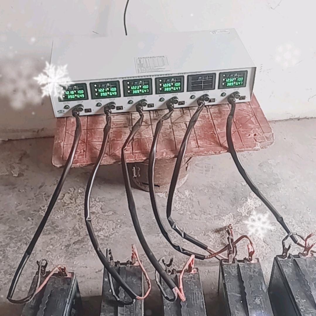 随枫(电池修复+换新)