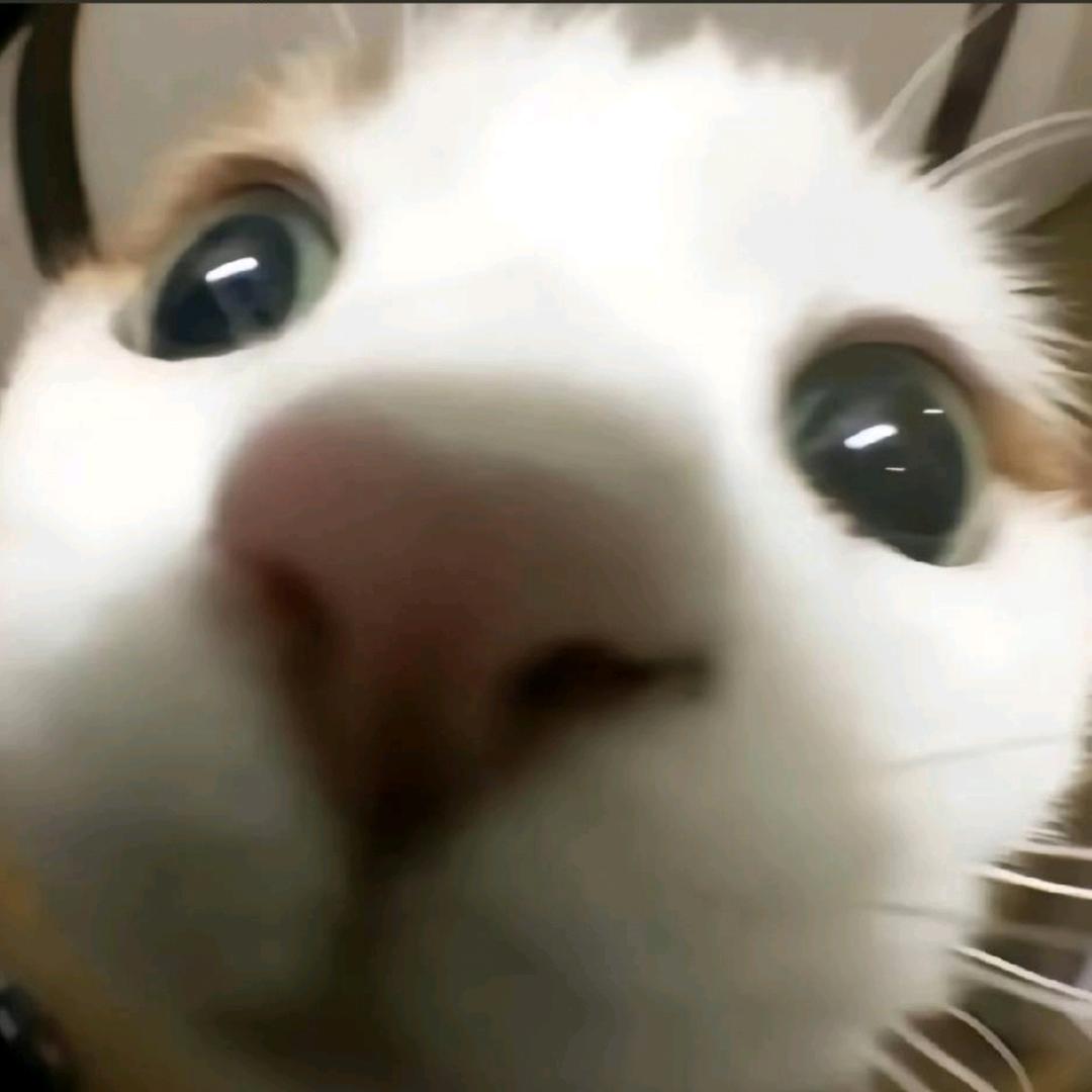 big胆朕的🍔在哪里💢💢💢💢