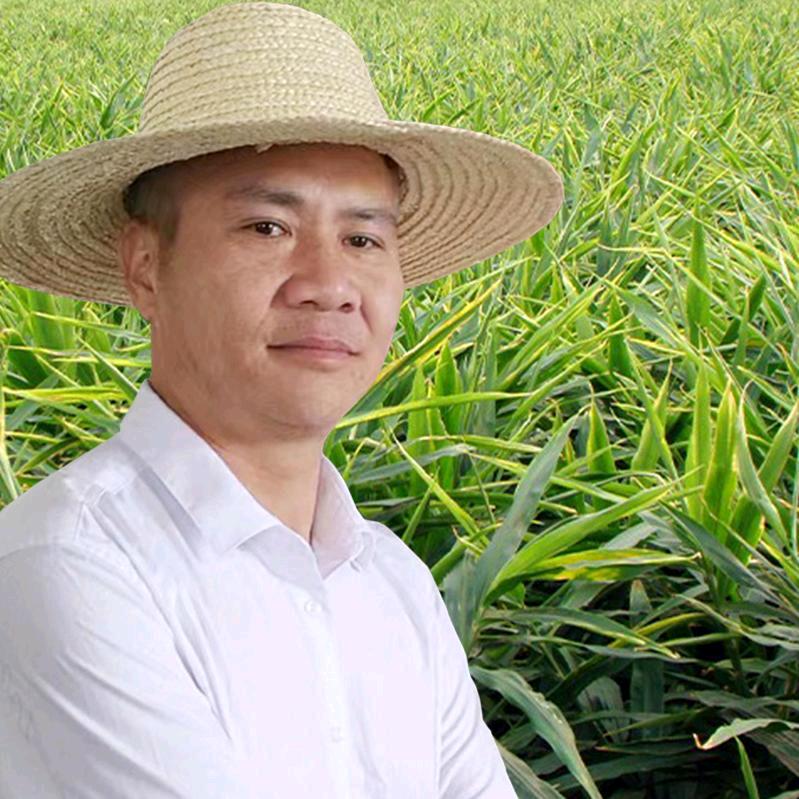 暴躁老谢