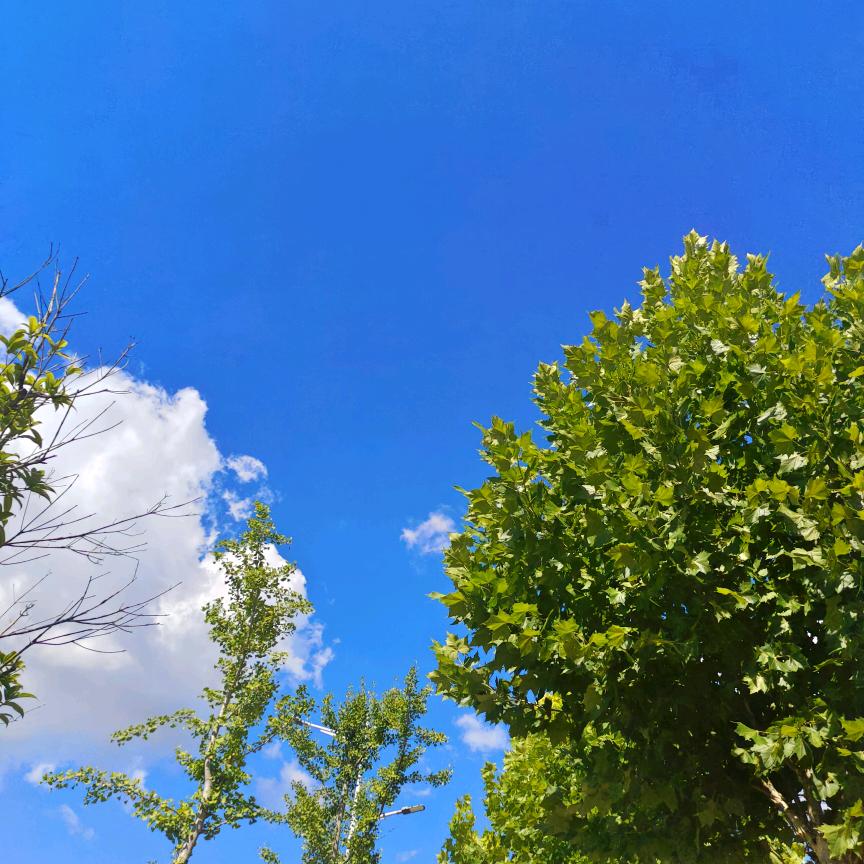 圣堡龙陶瓷江末末