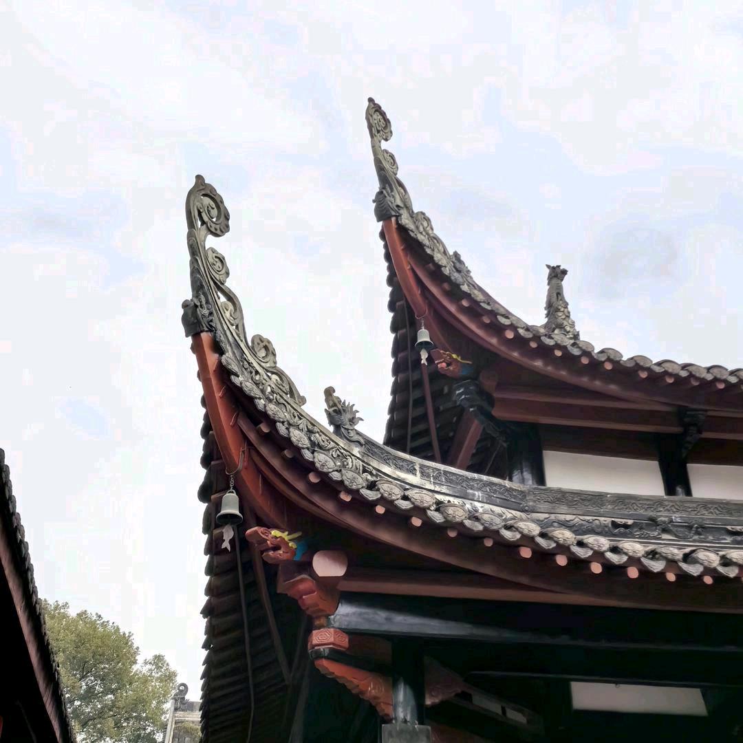 _ 你眼里柔情多多