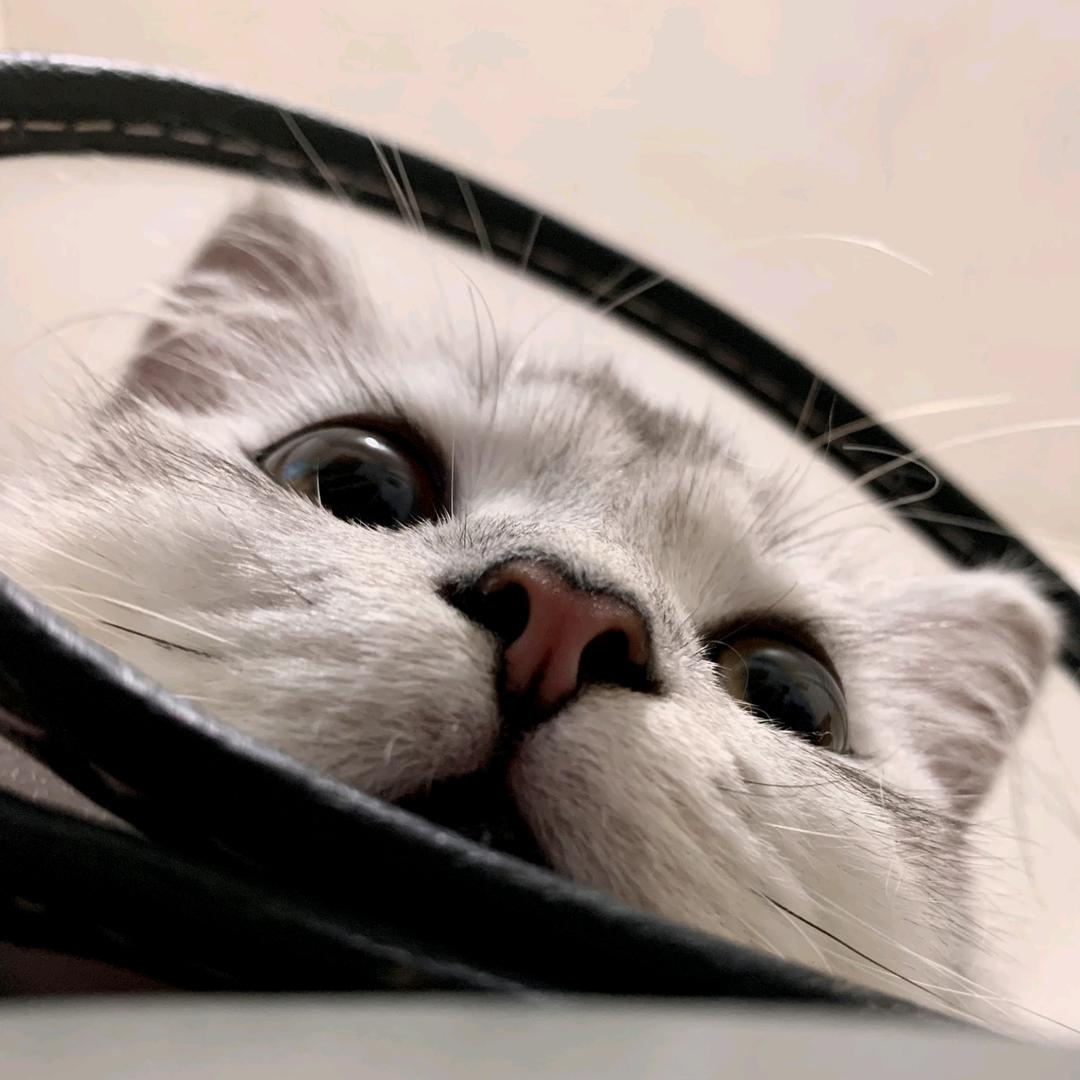 🍅炒🥚（努力版）