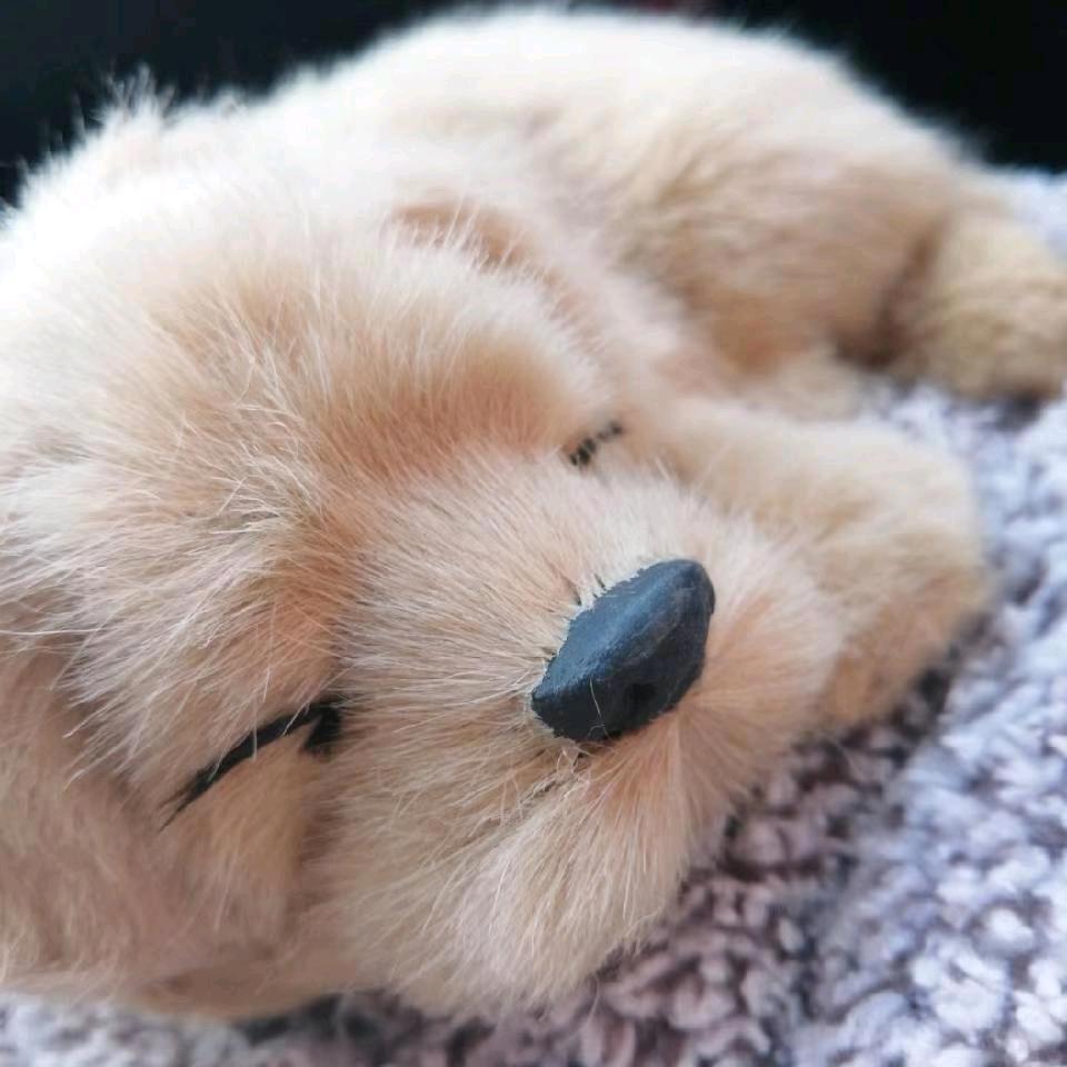 🥀এ᭄最凉 ꦿ是💔人心 ོ