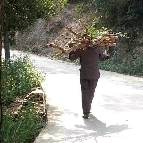 雨过的彩虹