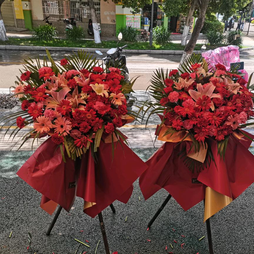 谷梦蝶